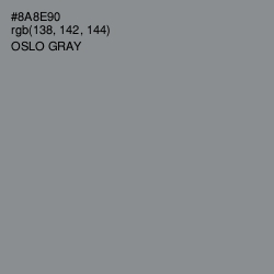 #8A8E90 - Oslo Gray Color Image